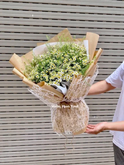 Bó Hoa Tana Cỏ Đồng Tiền Yêu Thương Rực Rỡ
