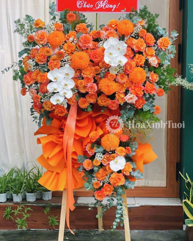 Kệ Hoa Nắng Mới – Mang Ánh Sáng Hạnh Phúc