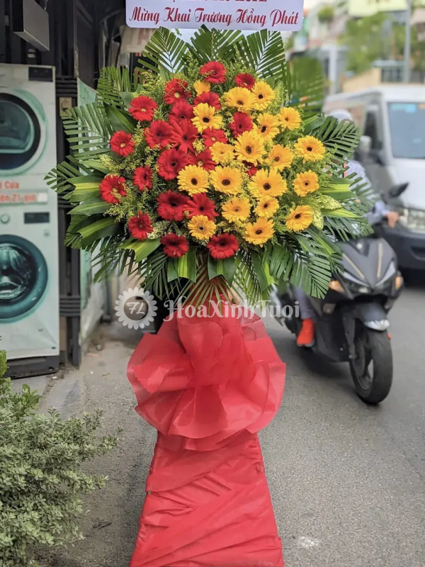 Kệ Hoa Tân Tiến – Đồng Tiền Đỏ Vàng Rực Rỡ, Chúc Khai Trương Thịnh Vượng