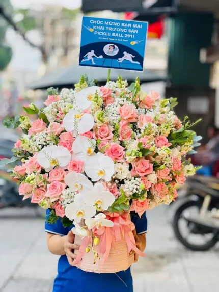 Giỏ Hoa Lan Hồng Kem Dịu Dàng Như Nắng – Sắc Hồng Kem Ngọt Ngào, Tỏa Sáng Dịu Êm