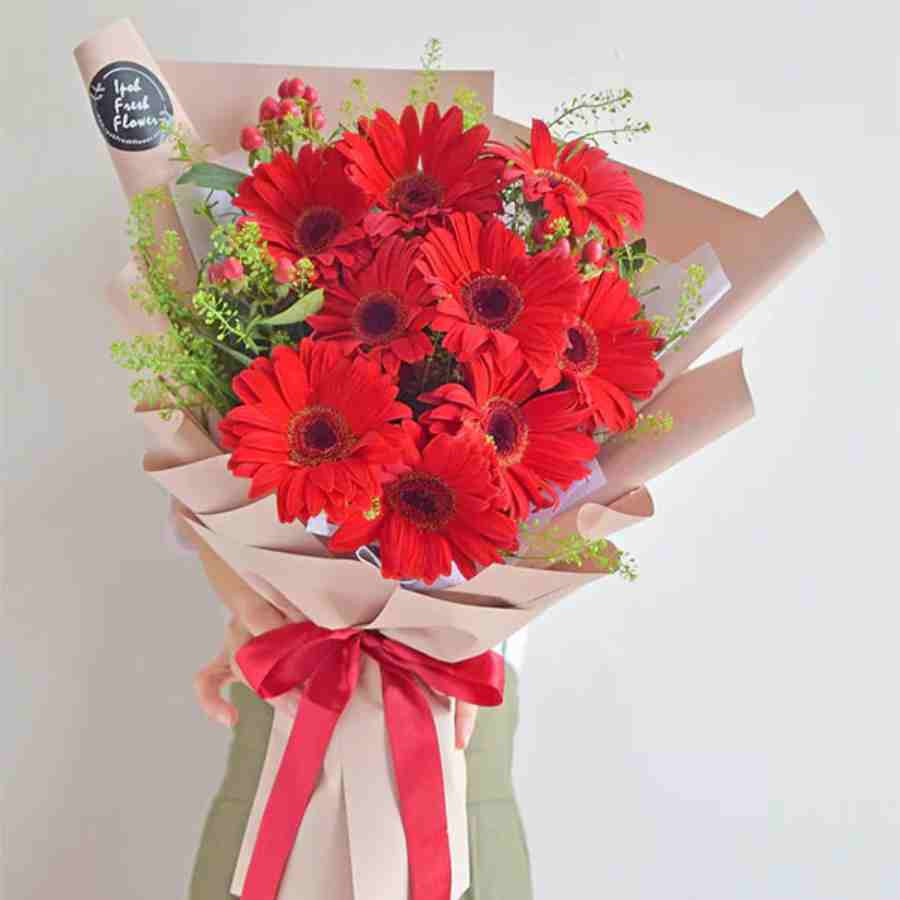 Bó Hoa Đồng Tiền Đỏ Tặng Mẹ – Trao Yêu Thương, Gửi Ngàn Lời Tri Ân Bó Hoa Đồng Tiền Đỏ Tặng Mẹ - Trao Yêu Thương, Gửi Ngàn Lời Tri Ân - Ảnh 1